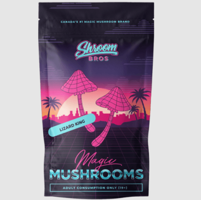 Lizard King Mushrooms For Sale Online