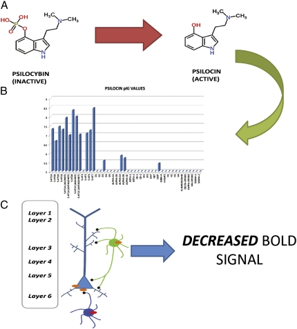 An external file that holds a picture, illustration, etc. Object name is pnas.1121358109fig01.jpg